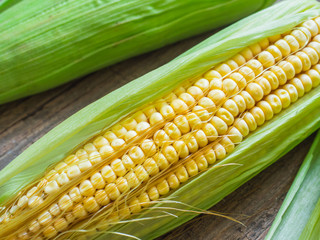 Fresh corn on the cob. Yellow corn, green leaves. Closeup