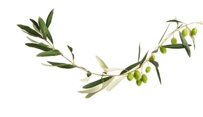 Fototapeten fresh olives with leaves isolated © ksena32