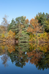 Herbstlich verfärbte Bäume spiegeln sich im See