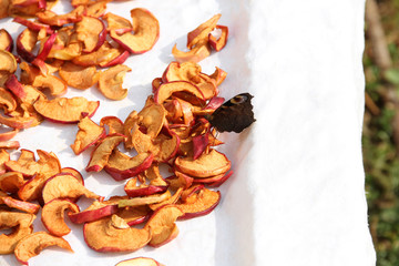 Butterfly and dried apples