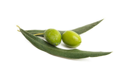 fresh olives with leaves isolated