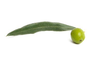 fresh olives with leaves isolated
