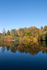 Autumn colored trees reflected in a lake