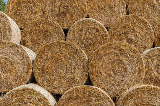 Round bales of hay stacked in a pyramid shape. Close up.