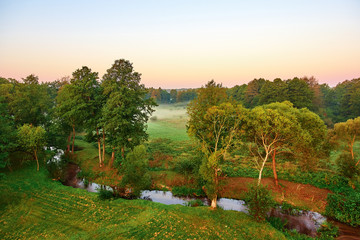early morning fog in the forest