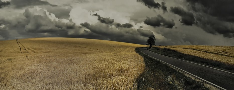 Solitary tree behind asphalt road and  agriculture field with dramatic cloudy sky.Scenic magical landscape with frightening atmosphere .Creative post processing.Panoramic photo.Bad weather. .