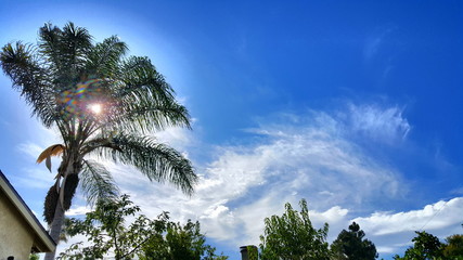 Landscape Clouds Skyline 