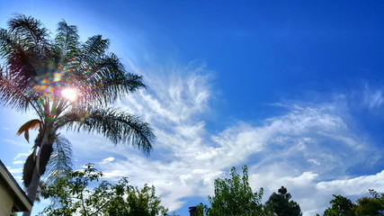 Landscape Clouds Skyline 
