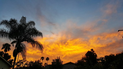 Landscape Clouds Skyline 