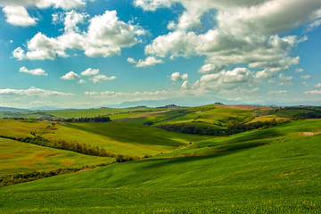Fototapeta na wymiar Landscape of tuscan countryside