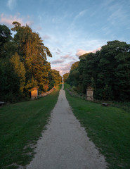 Pathway through the Woods