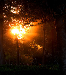 atardecer
