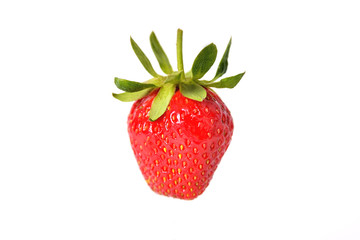 Fresh natural strawberry on white background, isolate