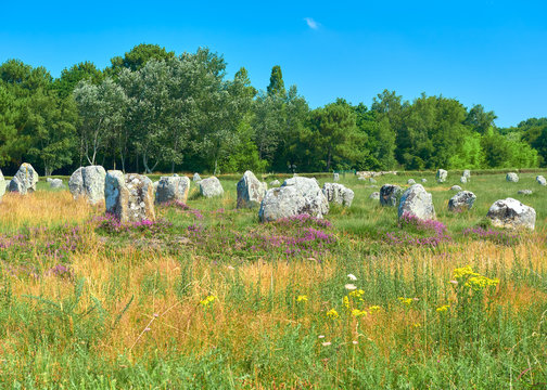 Vista Paisaje del Alineamiento Megal&iacute;tico de Menhires de Menec en el Yacimiento Prehist&oacute;rico Neol&iacute;tico y Celta de Carnac, Morbihan, Breta&ntilde;a, Francia