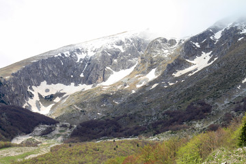 Mountains and snow,springtime , unpredictable weather, Wild untouched nature beauty. Relax, mind...