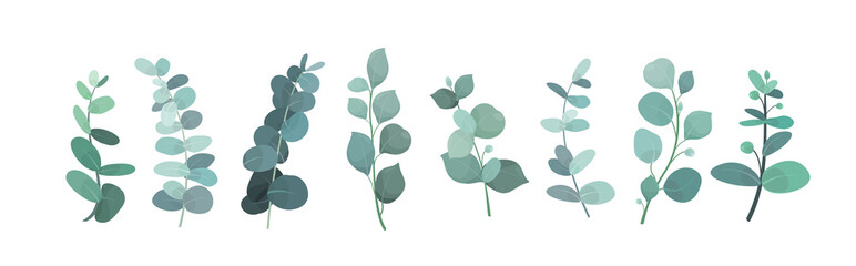 Vector illustration of eucalyptus silver greenery set, leaves and branches for decoration of greeting cards and invitations. decorative beautiful elegant green branches in flat style. © Natalia