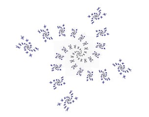 nice flower  and white background