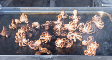 Chef cook grilled octopuses. Demonstration cooking. The chef flips small octopuses on the metal...