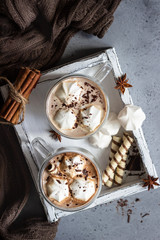 Hot chocolate cocoa drink in glass mug with marshmallows candies, cinnamon sticks, anise, chocolate and waffles. Copy space. Winter food and drink concept.