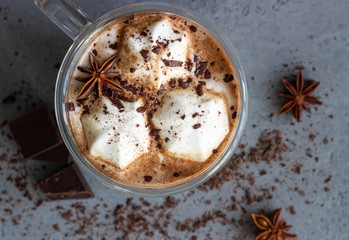 Hot chocolate cocoa drink in glass mug with marshmallows candies, cinnamon sticks, anise, chocolate and waffles. Copy space. Winter food and drink concept.