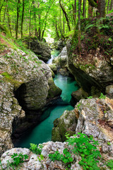 Mountain river in the Alps, Slovenia