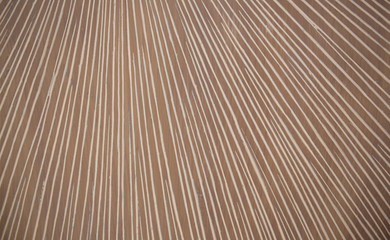 Fototapeta premium Abstract Wooden Background. Natural Texture Background