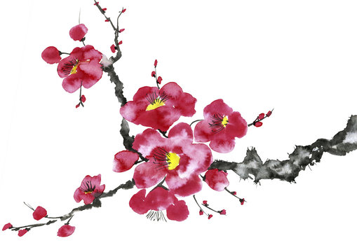 A branch of a blossoming tree. Pink and red stylized flowers of plum mei, wild apricots and sakura . Watercolor and ink illustration in style sumi-e, u-sin. Oriental traditional painting.