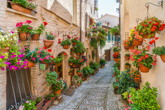 Fototapeta Scenic sight in Spello, flowery and picturesque village in Umbria, province of Perugia, Italy.