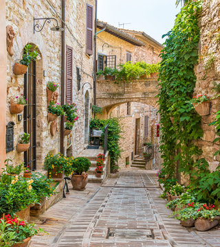 Fototapeta Malowniczy widok w Spello, kwiecista i malownicza wioska w Umbrii, w prowincji Perugia, Włochy.