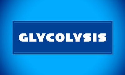 Glycolysis - clear white text written on blue card on blue background