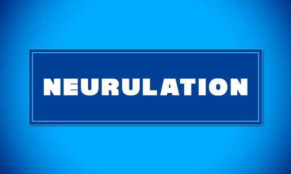 Neurulation - clear white text written on blue card on blue background