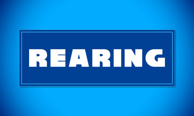 Fototapeta premium Rearing - clear white text written on blue card on blue background