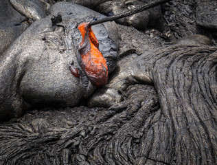 Playing with lava: Poking a stick into molten lava from the Kilauea crater of Puu Oo, Big Island,...