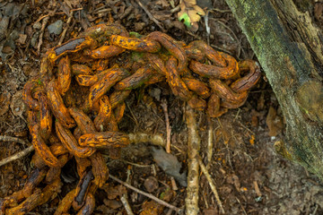 une vielle chaîne et ses maillons rouillés