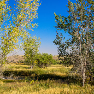 Marsh in autumn at Ouray National Wildlife Refuge in northeastern Utah