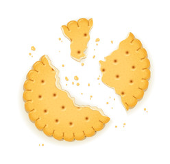 Delicious round biscuit. Sweet cookie. Cookies. Realistic