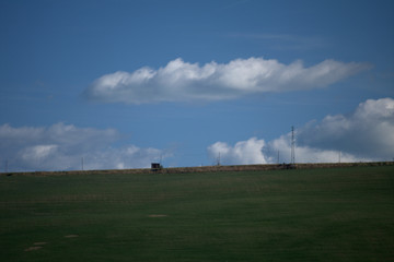 Fototapeta na wymiar green field and blue sky,landscape,countryside,agriculture,cloud,white,horizon,rural