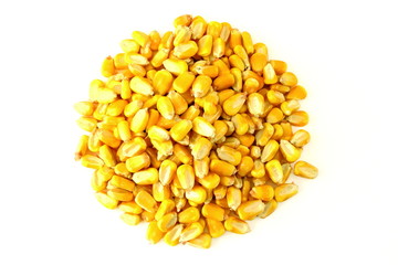 sweet golden corn grain seeds isolated on white background
