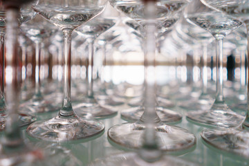row of transparent clean wine glasses and champagne on a rack in a bar or restaurant prepared for guests of festive events. 