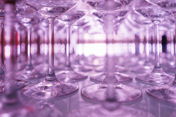 row of transparent clean wine glasses and champagne on a rack in a bar or restaurant prepared for guests of festive events. 