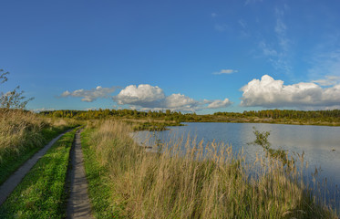 Sunny autumn day on the shore of an artificial lake.