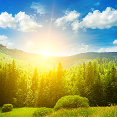 Naklejka premium Bright dawn in picturesque valley overgrown with old firs. Carpathians