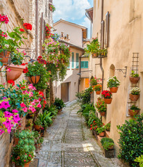 Fototapeta premium Sceniczny widok w Spello, kwiecistej i malowniczej wiosce w Umbria, prowincja Perugia, Włochy.