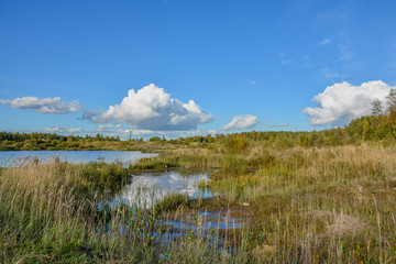 Sunny autumn day on the shore of an artificial lake.