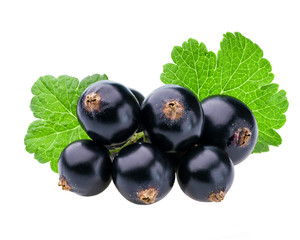 Black currant with green leaf isolated on white