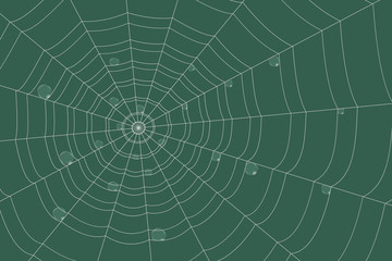 dew on a grid of concentric cobweb on green background