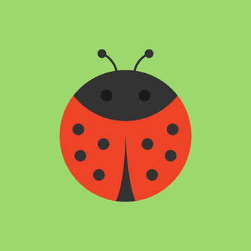 Cute ladybird round vector graphic icon. Black and red ladybug beetle, insect animal head, body illustration. Isolated on green background.