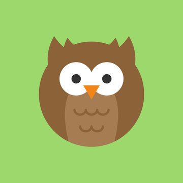 Cute owl round vector graphic icon. Owl bird animal head, face illustration. Isolated on green background.