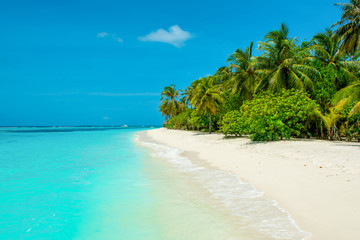 Beautiful sandy beach with sunbeds and umbrellas in Indian ocean, Maldives island