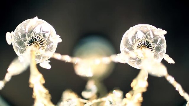 Bright lights shimmer on the background. Festive mood iridescent illumination. Circles of festive elegant illumination blink and glow.